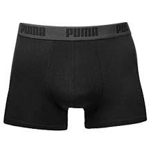 Puma bóxer