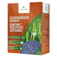 LERAVA abono para césped de otoño