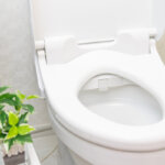 asiento del inodoro