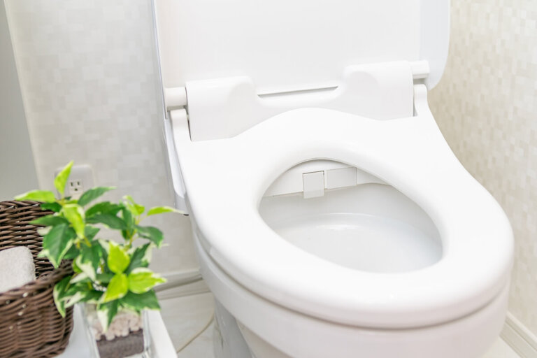 asiento del inodoro