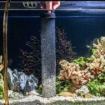 aspirador para acuario
