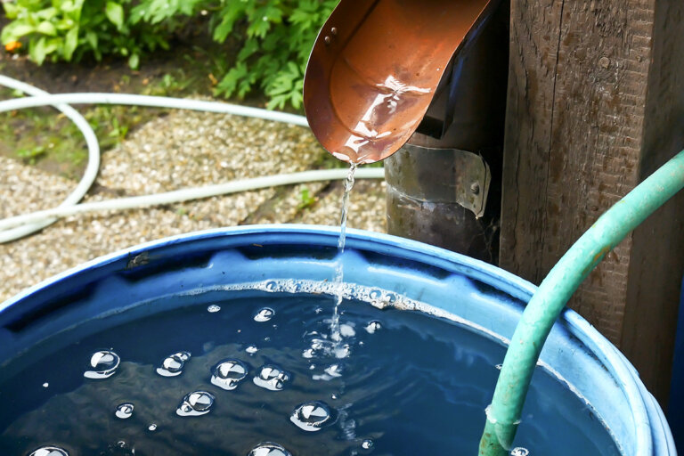 barril de lluvia