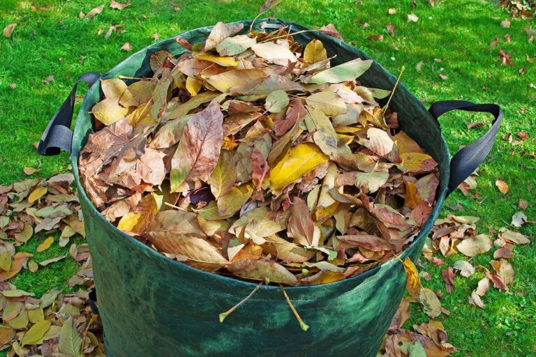 bolsa de basura de jardín