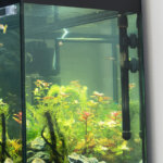 calentador de acuario