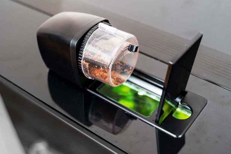 comedero automático para peces