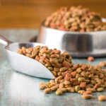 comida dietética para perros