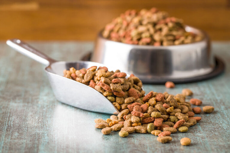 comida dietética para perros