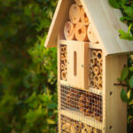 hotel de insectos