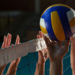 pelota de voleibol