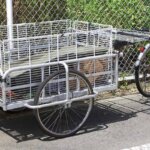 remolque de carga para bicicleta