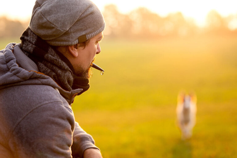 silbato para perros