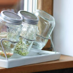 tarro de germinar