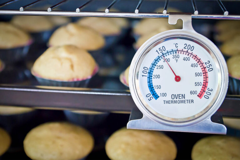 termómetro para horno