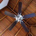 ventilador de techo